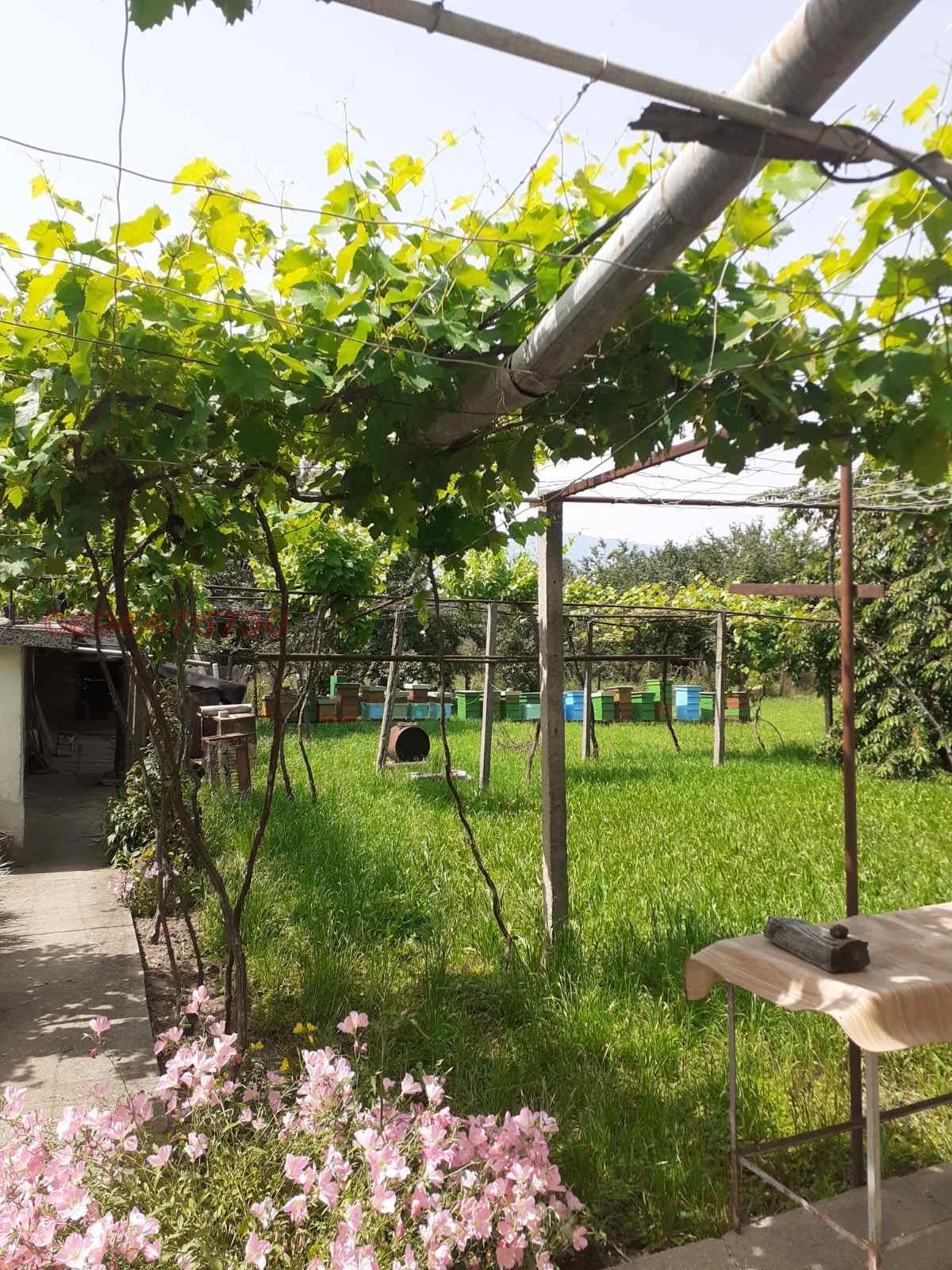 Продава КЪЩА, с. Николичевци, област Кюстендил, снимка 4 - Къщи - 53778691