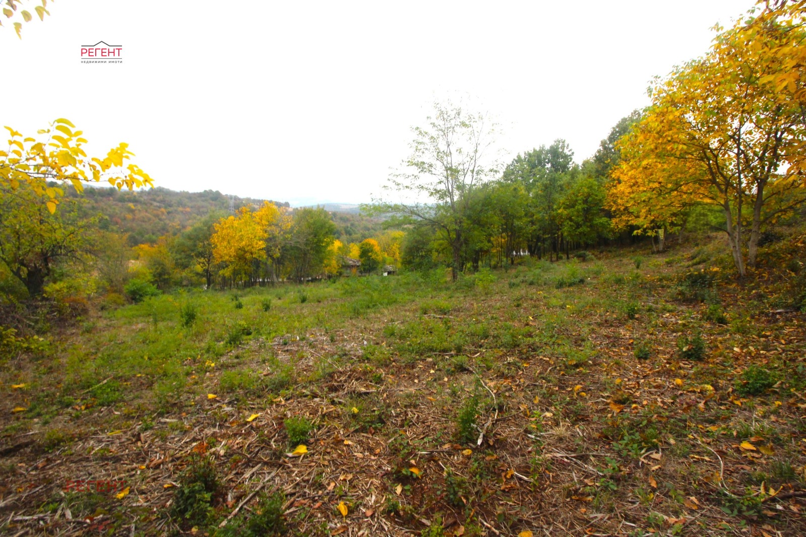 Продава ПАРЦЕЛ | Imot.bg — изображение 5