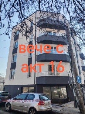 Comprar Banichora, Sofia 3