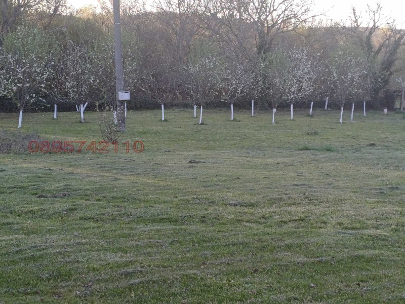 Продава КЪЩА, с. Братя Даскалови, област Стара Загора, снимка 2 - Къщи - 52782648