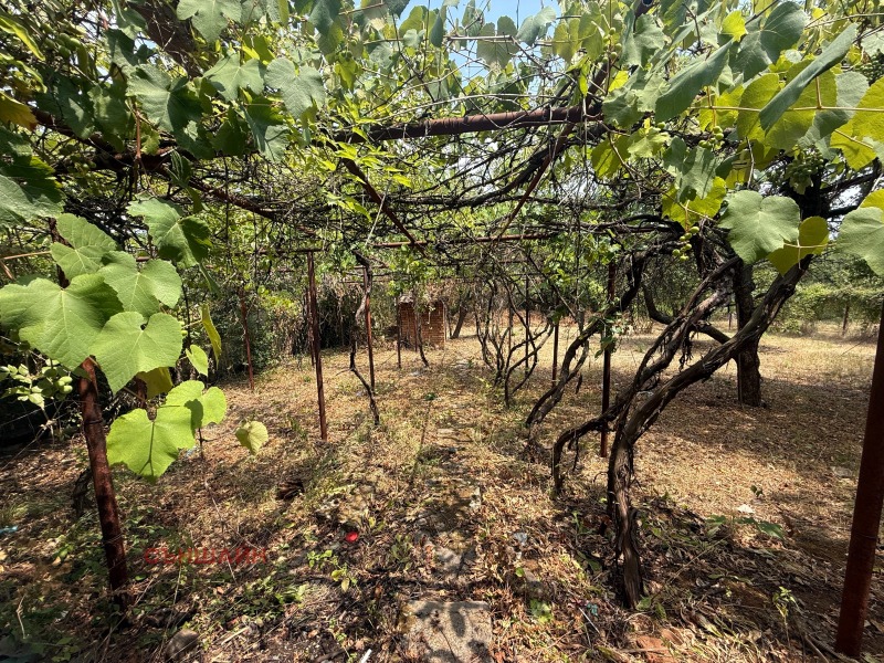Продава КЪЩА, гр. София, с. Балша, снимка 8 - Къщи - 52340753
