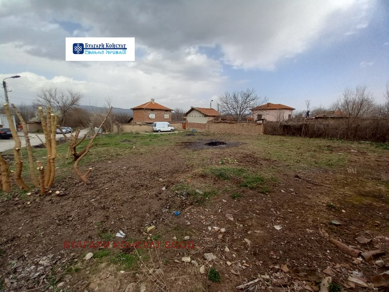 Продава ПАРЦЕЛ, с. Памидово, област Пазарджик, снимка 9 - Парцели - 52824824