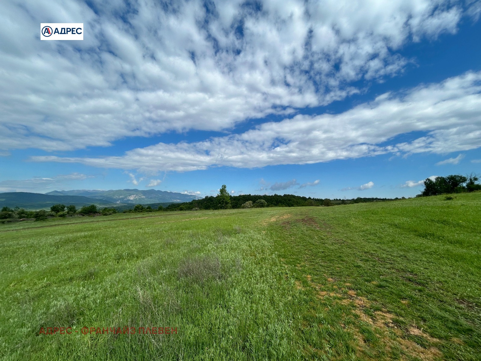 Продава ПАРЦЕЛ, с. Типченица, област Враца, снимка 2 - Парцели - 55173937
