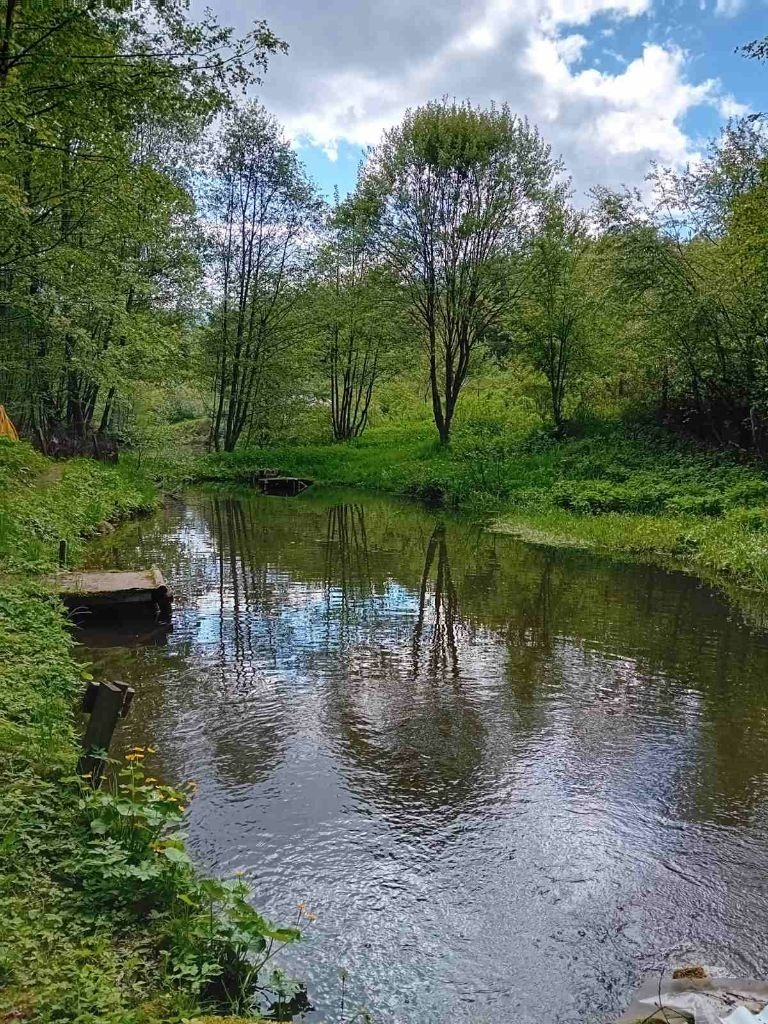 Продава БИЗНЕС ИМОТ, гр. София, с. Железница, снимка 5 - Други - 49546799