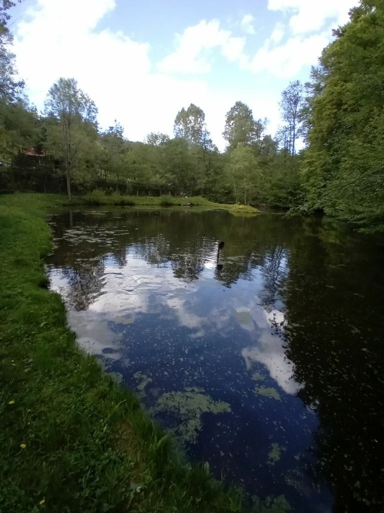 Продава БИЗНЕС ИМОТ, гр. София, с. Железница, снимка 3 - Други - 49546799