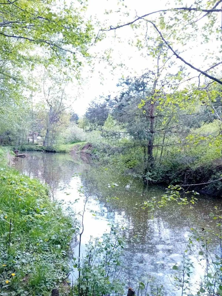 Продава БИЗНЕС ИМОТ, гр. София, с. Железница, снимка 2 - Други - 49546799