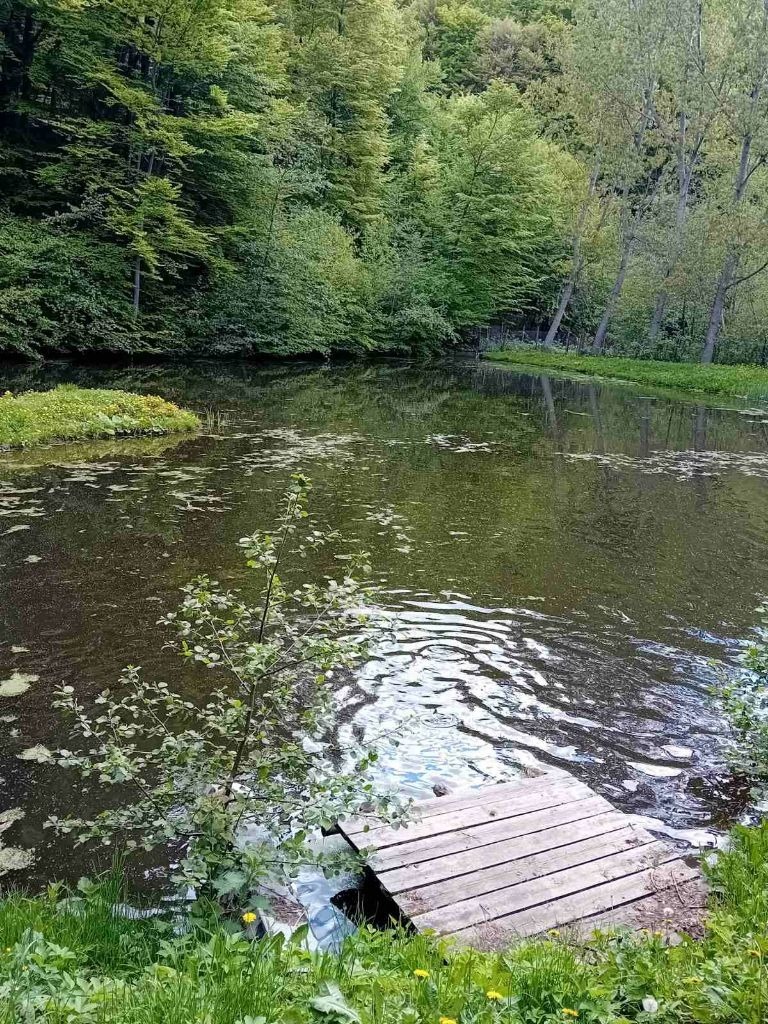 Продава БИЗНЕС ИМОТ, гр. София, с. Железница