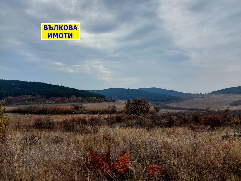 Продава ПАРЦЕЛ в област Стара Загора, с. Лясково - 5003 кв.м / 87 000 € » 170 157.21 лв., ВЪЛКОВА ИМОТИ