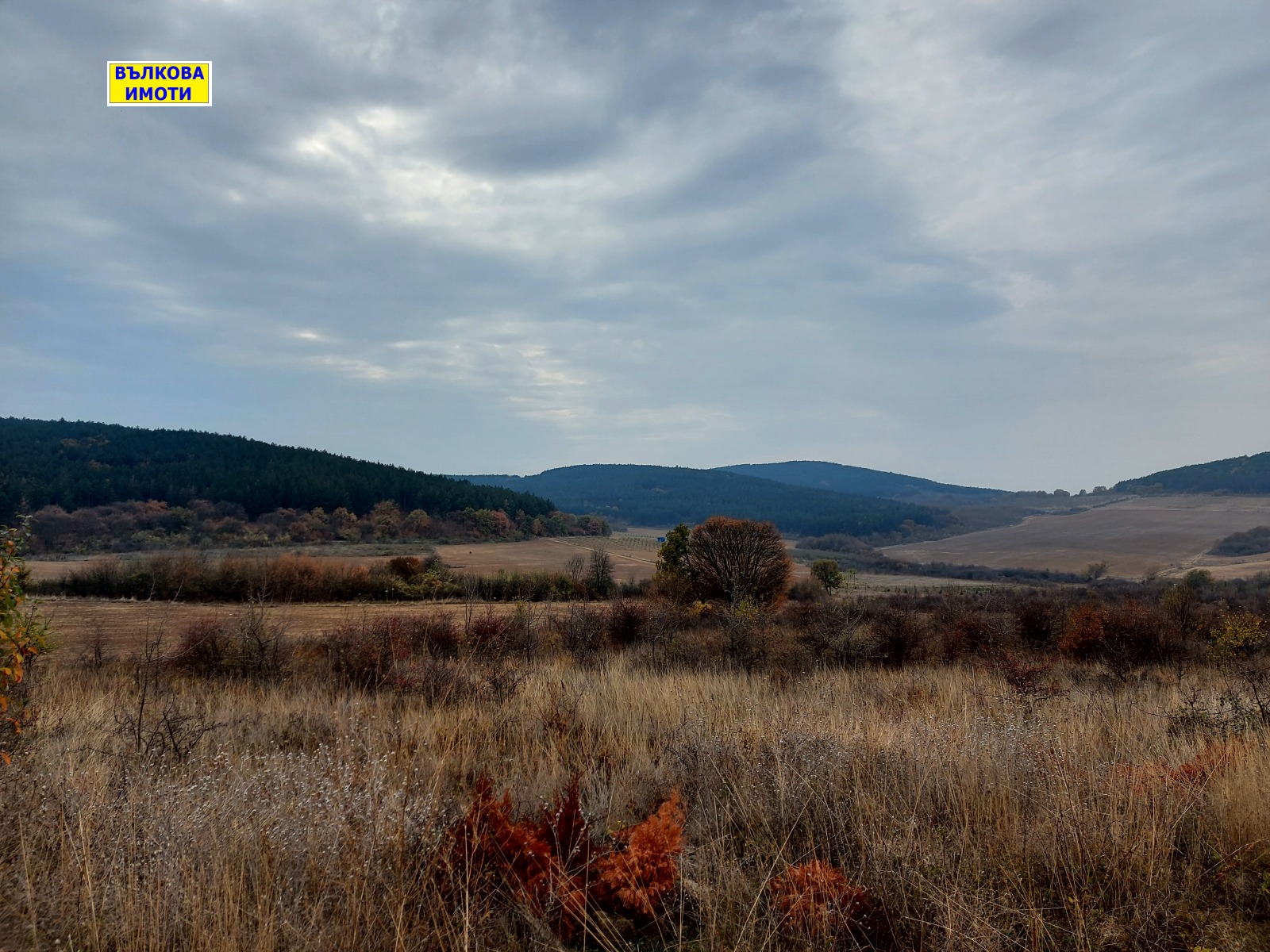 ������� ������ | Imot.bg � ����������� 1