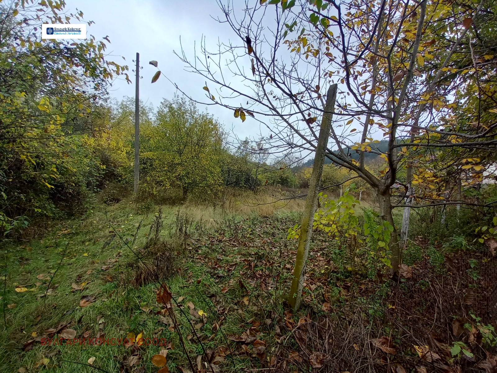 Продава ПАРЦЕЛ | Imot.bg — изображение 16