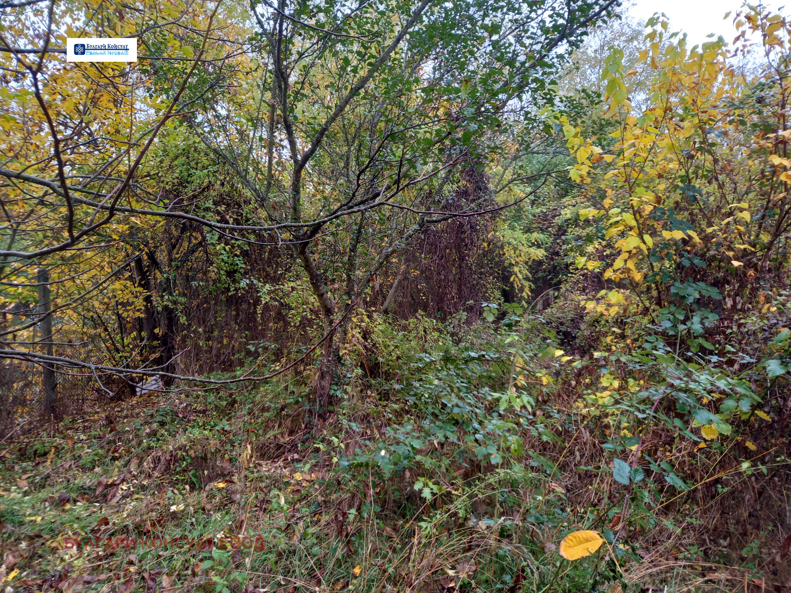 Продава ПАРЦЕЛ | Imot.bg — изображение 15