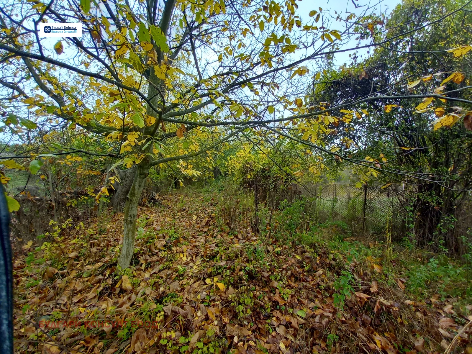 Продава ПАРЦЕЛ | Imot.bg — изображение 9