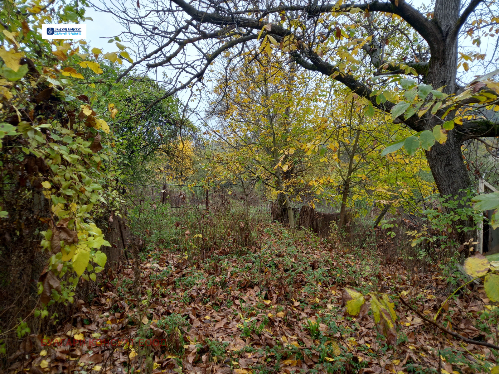 Продава ПАРЦЕЛ | Imot.bg — изображение 8