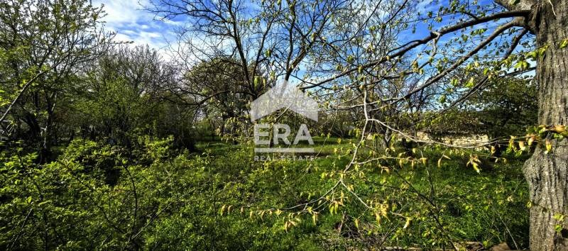 Zu verkaufen  Handlung region Varna , Waglen , 1110 qm | 81136544 - Bild [5]