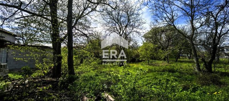 Zu verkaufen  Handlung region Varna , Waglen , 1110 qm | 81136544 - Bild [4]
