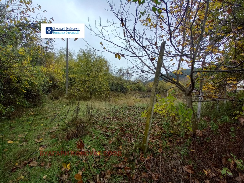 Продава ПАРЦЕЛ, с. Неделкова Гращица, област Кюстендил, снимка 15 - Парцели - 52232827