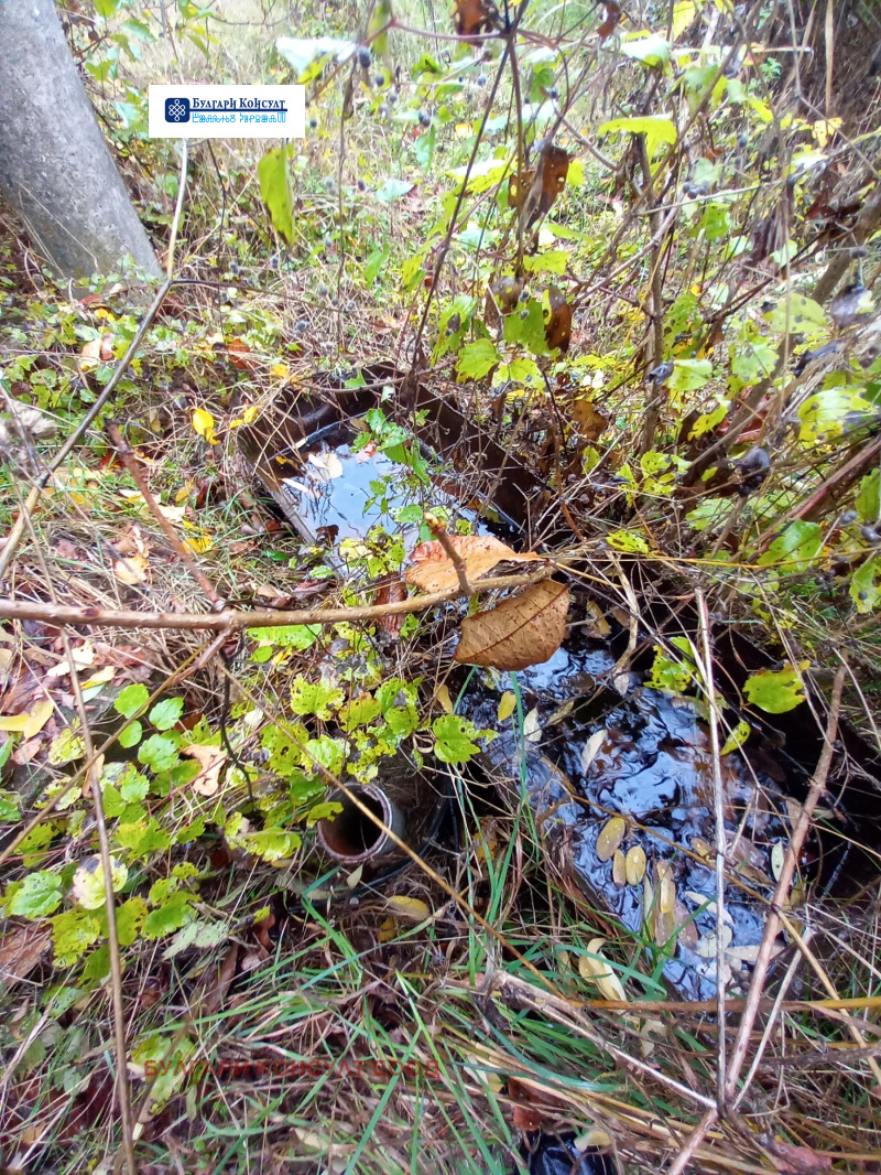 Продава ПАРЦЕЛ, с. Неделкова Гращица, област Кюстендил, снимка 13 - Парцели - 52232827