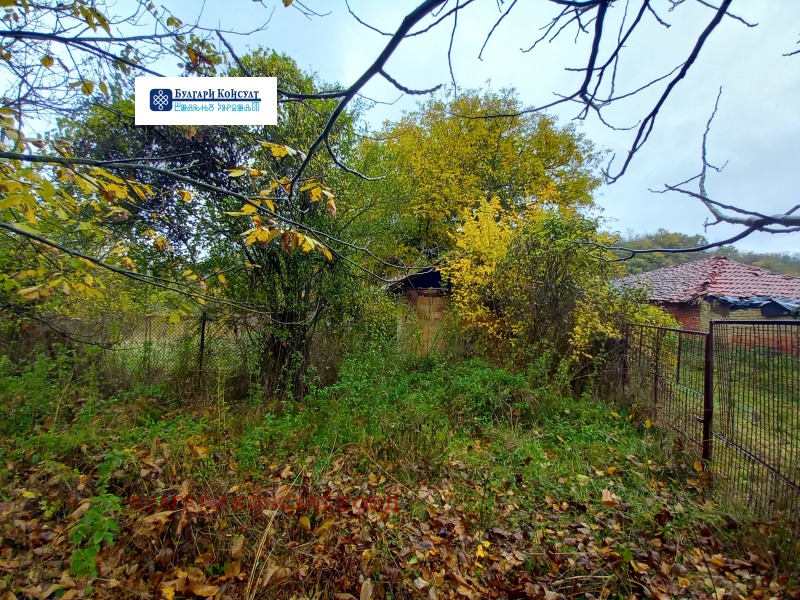 Продава ПАРЦЕЛ, с. Неделкова Гращица, област Кюстендил, снимка 9 - Парцели - 52232827