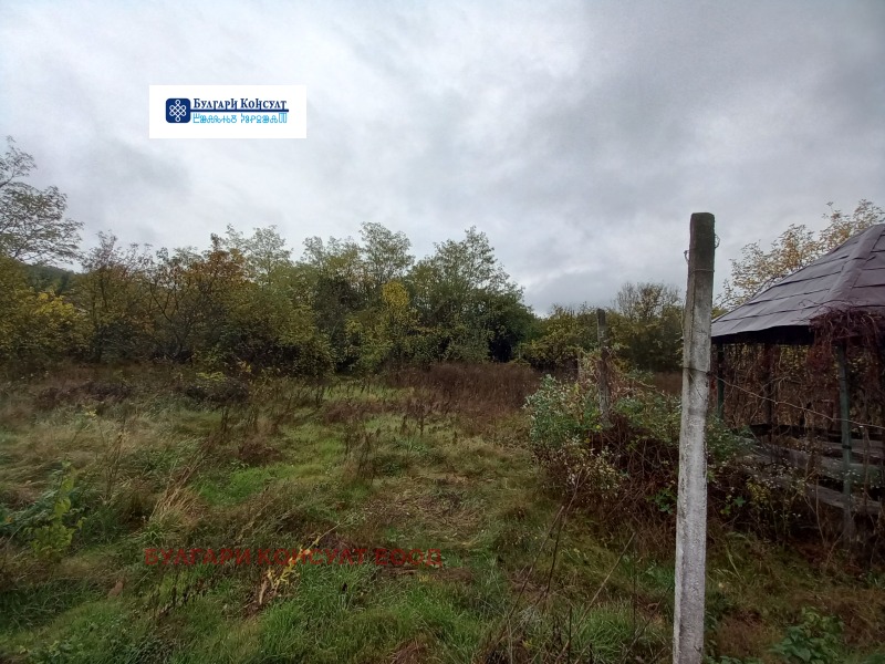 Продава ПАРЦЕЛ, с. Неделкова Гращица, област Кюстендил, снимка 11 - Парцели - 52232827