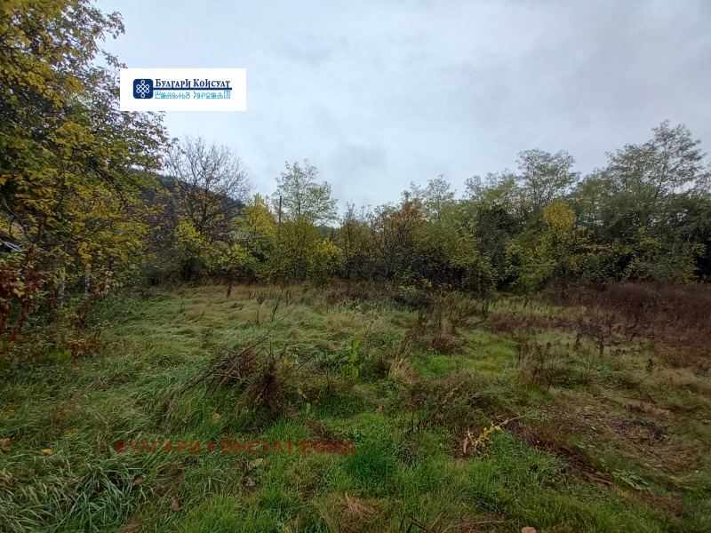 Продава ПАРЦЕЛ, с. Неделкова Гращица, област Кюстендил, снимка 3 - Парцели - 52232827