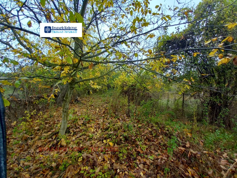 Продава ПАРЦЕЛ, с. Неделкова Гращица, област Кюстендил, снимка 8 - Парцели - 52232827