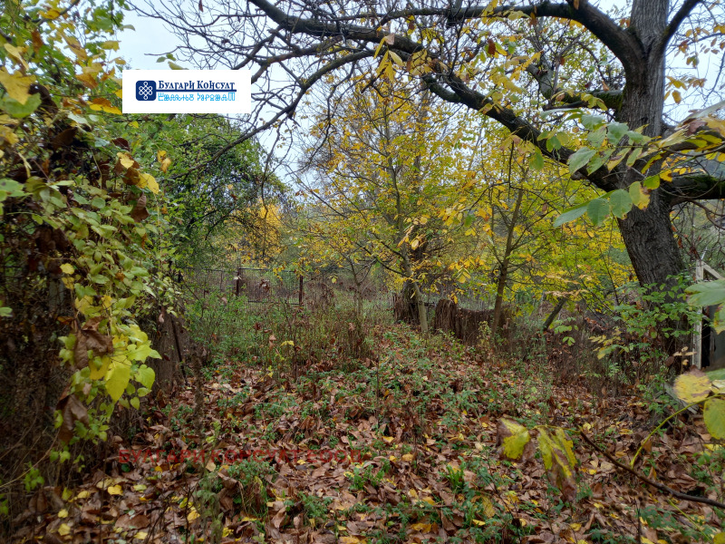 Продава ПАРЦЕЛ, с. Неделкова Гращица, област Кюстендил, снимка 7 - Парцели - 52232827