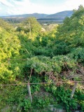 Продава ВИЛА, гр. Търговище, Вилна зона, снимка 15