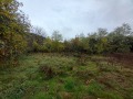 Продава ПАРЦЕЛ, с. Неделкова Гращица, област Кюстендил, снимка 3