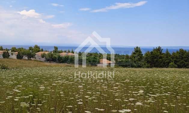 ������� ������ | Imot.bg � ����������� 16