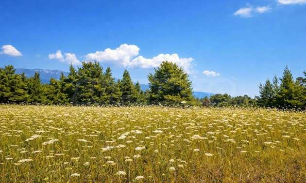 ������� ������ | Imot.bg � ����������� 7