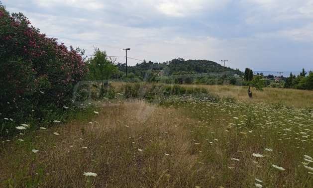 ������� ������ | Imot.bg � ����������� 8