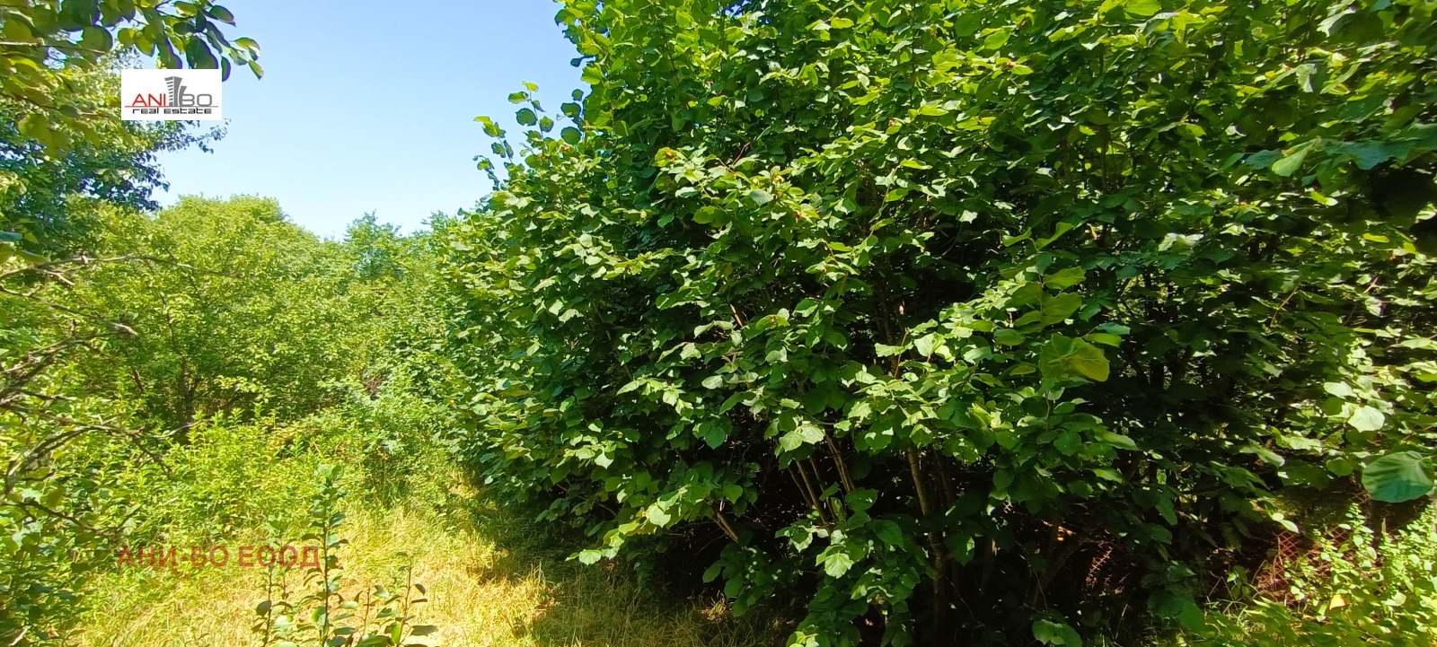 Продава ПАРЦЕЛ | Imot.bg — изображение 5