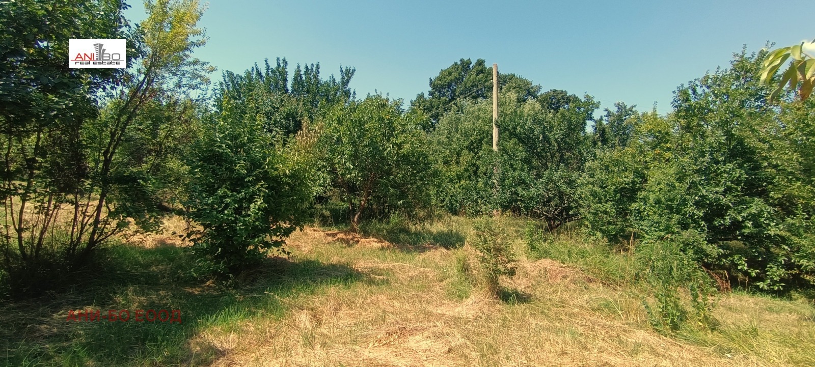 Продава ПАРЦЕЛ | Imot.bg — изображение 4