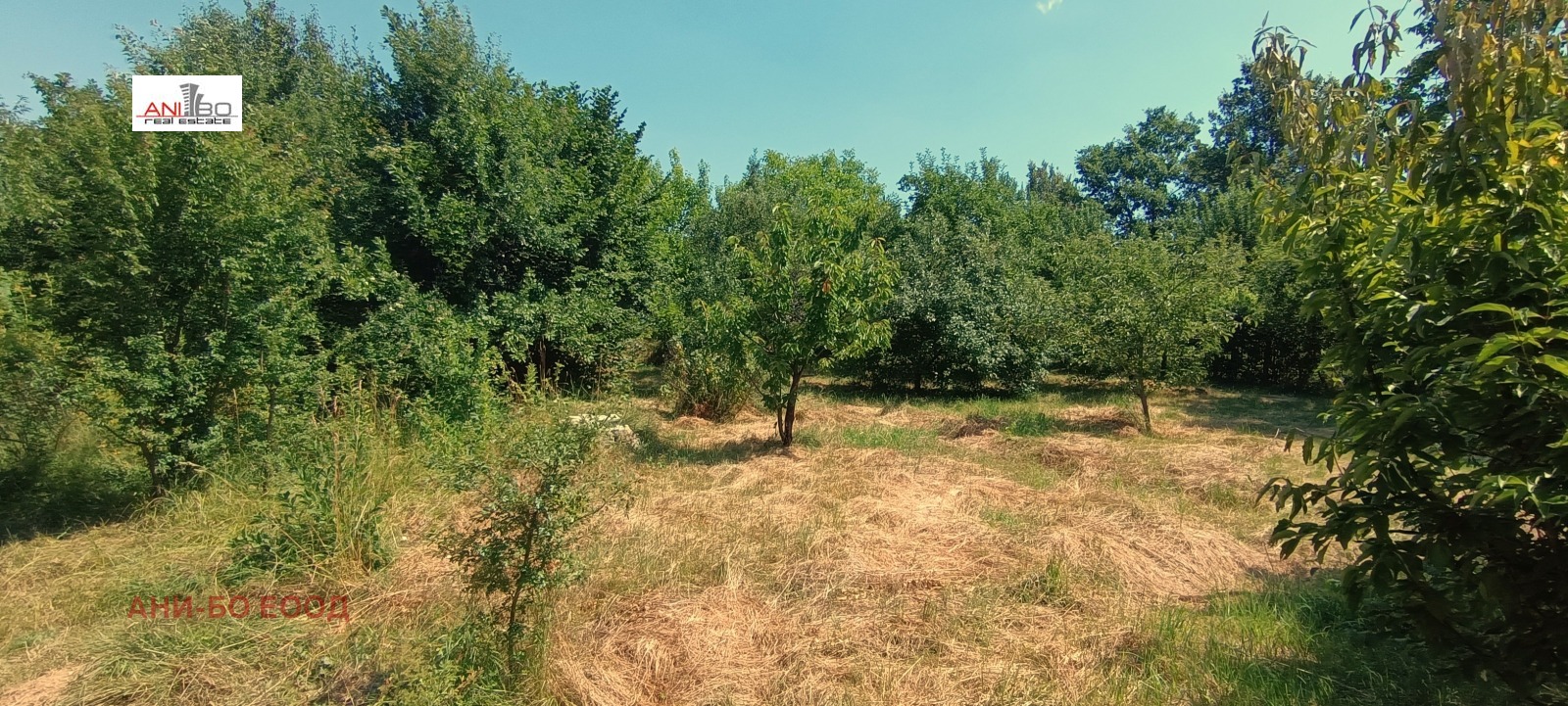 Продава ПАРЦЕЛ | Imot.bg — изображение 7