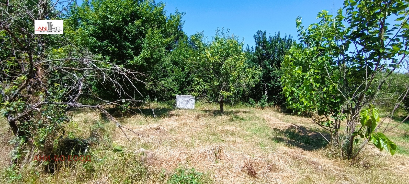 Продава ПАРЦЕЛ | Imot.bg — изображение 8