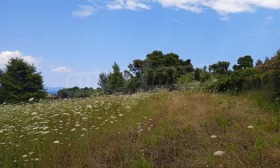 ������� ������ | Imot.bg � ����� ������ 5