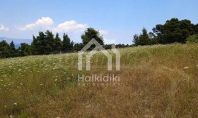 ������� ������ | Imot.bg � ����� ������ 12