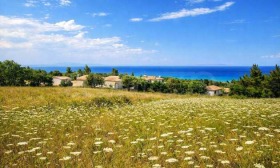 ������� ������ | Imot.bg � ����� ������ 8