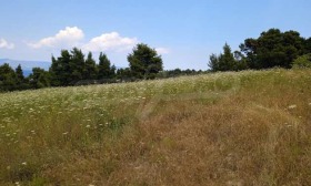 ������� ������ | Imot.bg � ����� ������ 2