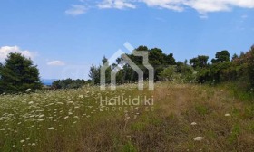 ������� ������ | Imot.bg � ����� ������ 15