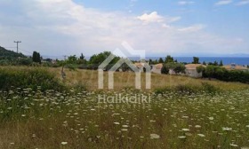 ������� ������ | Imot.bg � ����� ������ 13