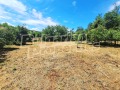 Продава КЪЩА, с. Владислав, област Велико Търново, снимка 12
