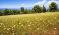Продава ПАРЦЕЛ, Извън страната, област Извън страната, снимка 5