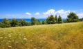 Продава ПАРЦЕЛ, Извън страната, област Извън страната, снимка 6