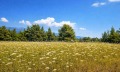 Продава ПАРЦЕЛ, Извън страната, област Извън страната, снимка 7