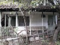 Продава КЪЩА, област София, с. Ялботина • 82500 лв. / 42181.58 € • 80097310 6