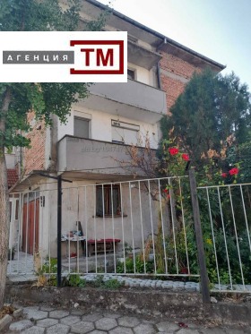 ������ ������� ����