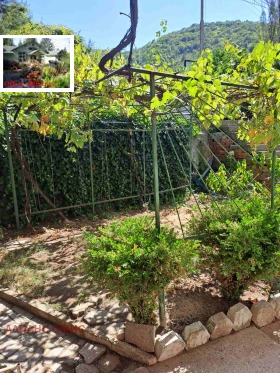 ������� ���� | Imot.bg � ����� ������ 7