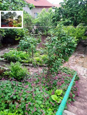������� ���� | Imot.bg � ����� ������ 5