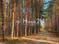 Продава ПАРЦЕЛ, гр. София, с. Лозен, снимка 2